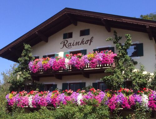 Rainhof kitzbühel
